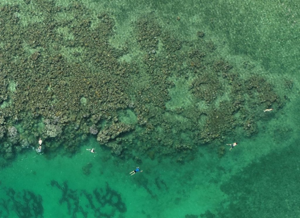 An aerial view of people swimming and snorkelling around a coral reef in bright turquoise sea.