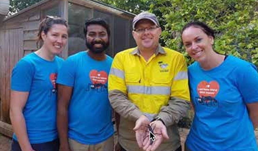 A group of people at a zoo, one holding a large stick insect.