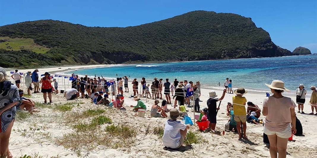 A crowd of people on a white sandy beach on Lord Howe island on Australia day. There is bright blue sea and hills in the distance.