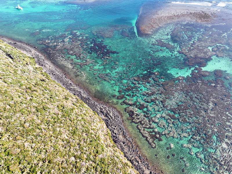 Aerial view of coral bleaching on Lord Howe Island