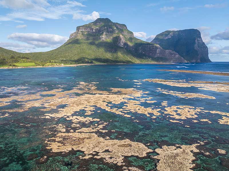 A photo of the coral that is showing at low tide. In the background is Mt Lidgbird and Mt Gower.