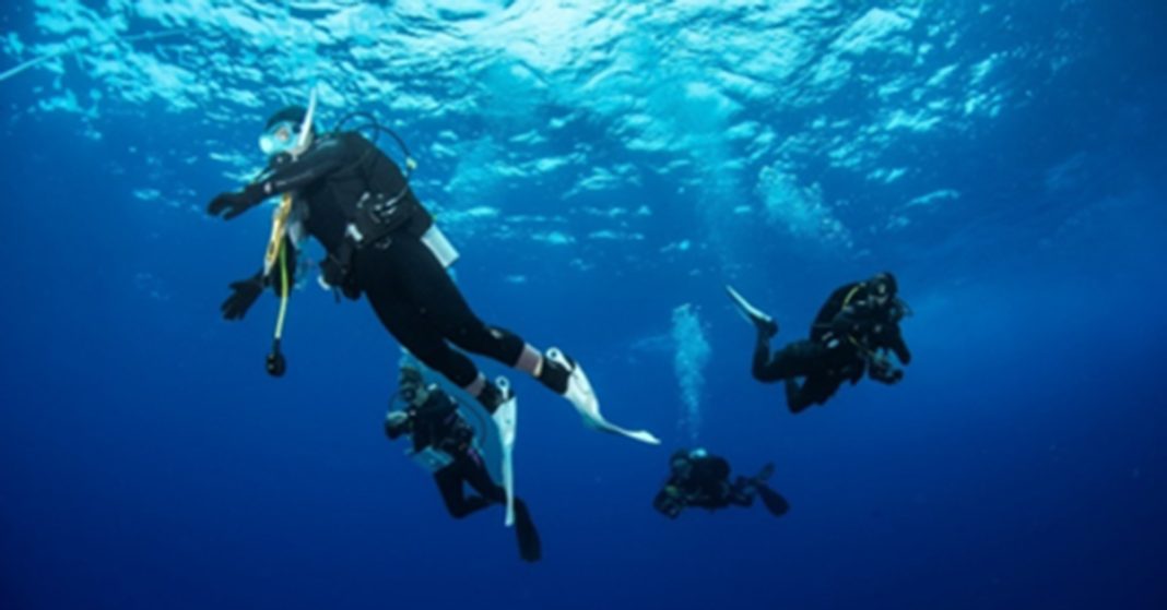 A photo of the members of this year’s RLS team ascending to the surface after completing underwater biodiversity surveys.