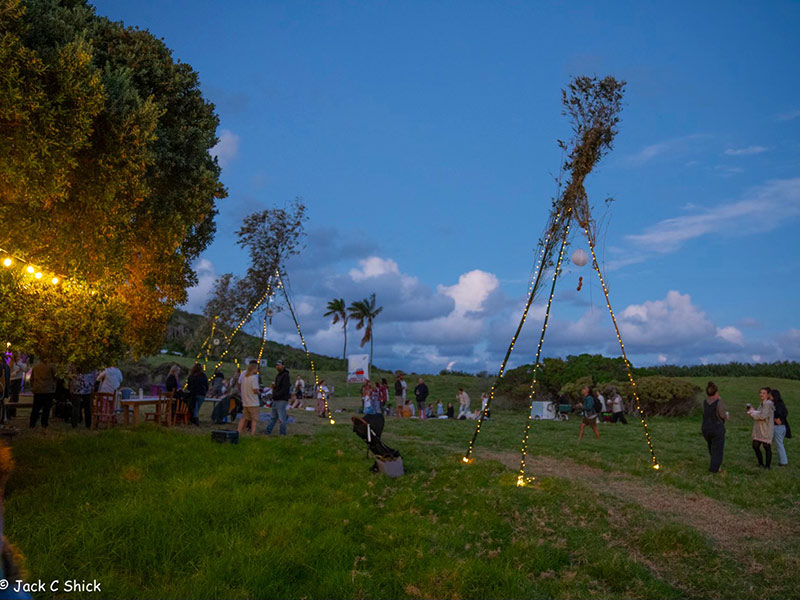 A group of people out enjoying the Potato in the Paddock event recently held on Lord Howe Island.