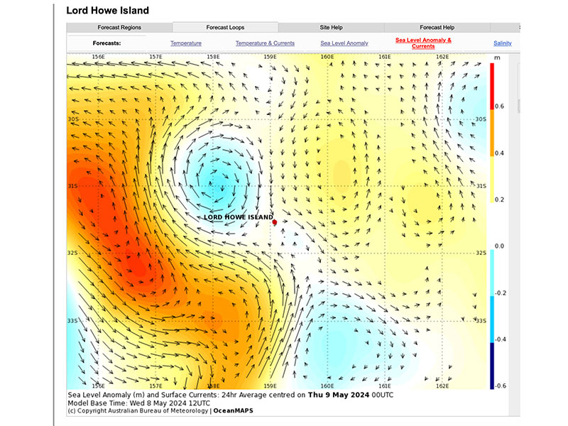 A map image showing the Sea level anomaly recently on Lord Howe Island.