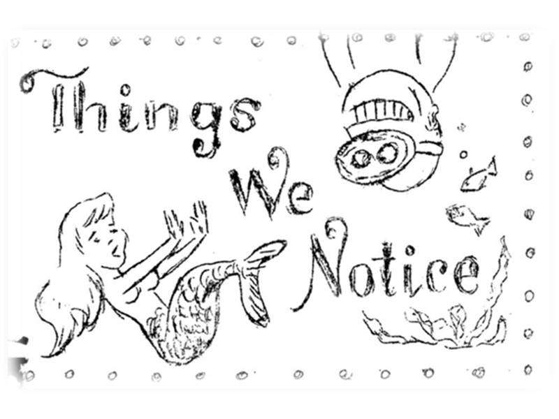 A Lord Howe Island Signal Illustration called Things we notice, drawn by Julie Booth.