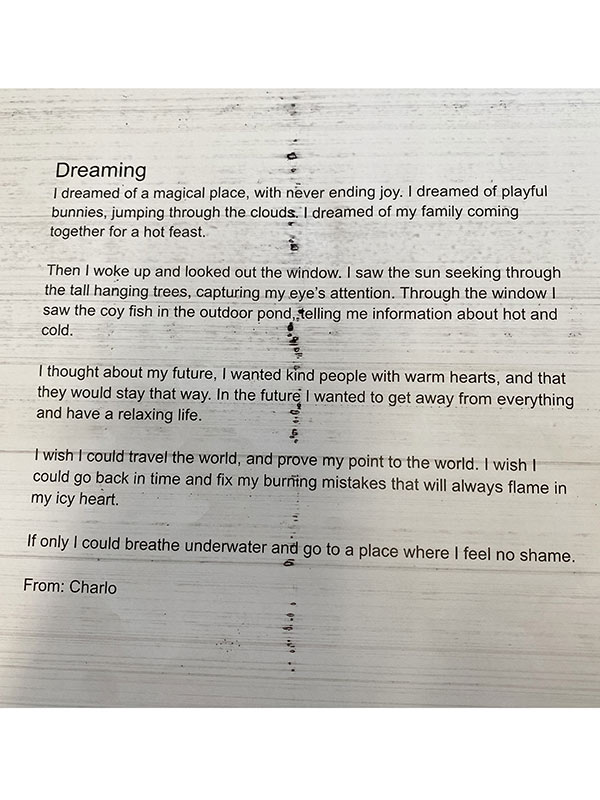 This week, some of our aspiring poets have wowed us with their clever work and talents. Pictured here is Charlo from Year 4 with two of her wonderful works.