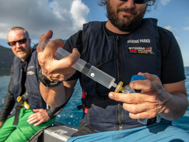 AIMS researchers sampling seawater. Photo credit NSW DPI