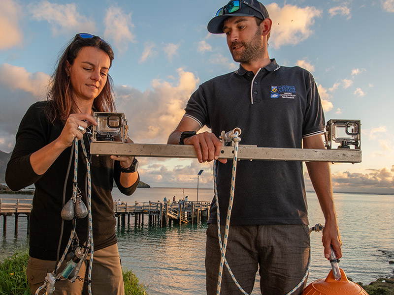 Dr. Jonathan Mitchell and Dr. Victoria Camilieri-Asch with the camera rig used to record shark behaviour around deterrent devices. Photo credit DPIRD.